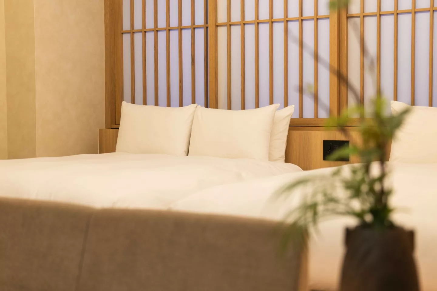 Suite Room